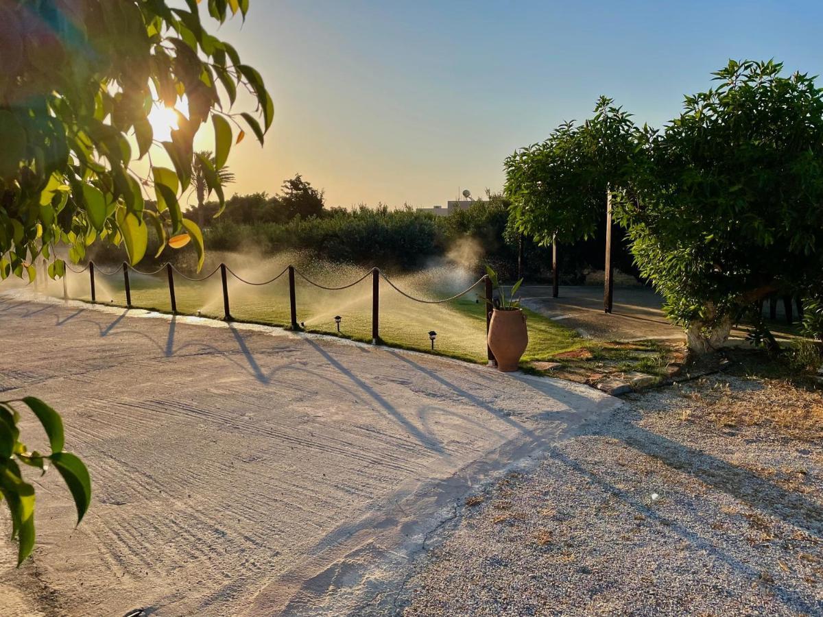 Kouremenos Beach Apartments Palekastro Eksteriør billede