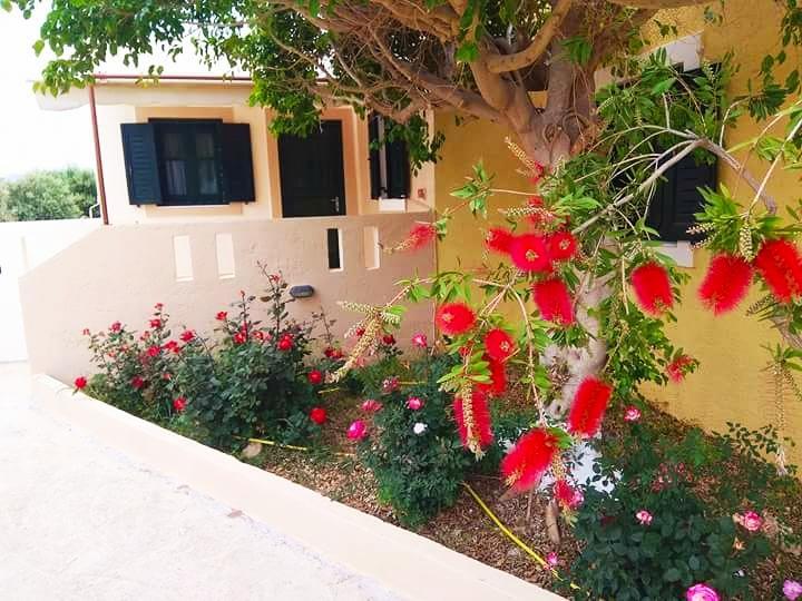 Kouremenos Beach Apartments Palekastro Eksteriør billede